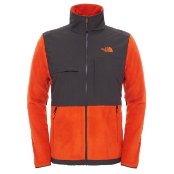 The North Face Denali 2 Jacket