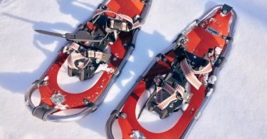 Snowshoe