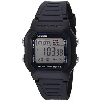 Casio W800H-1AV Classic Sport Watch