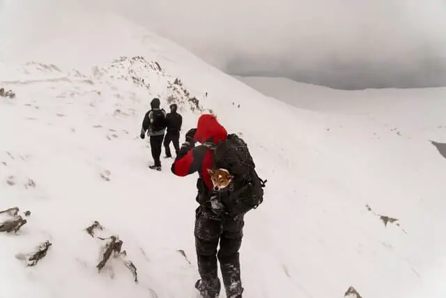 Hiking in snow
