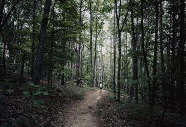 Hiker on the Appalachian Trail through mountain forest